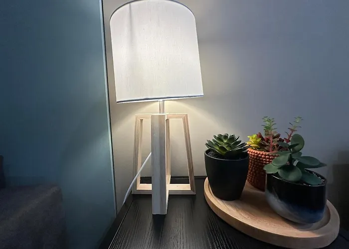 S Le Cocon Des Francs Elegant Centre * Sedan