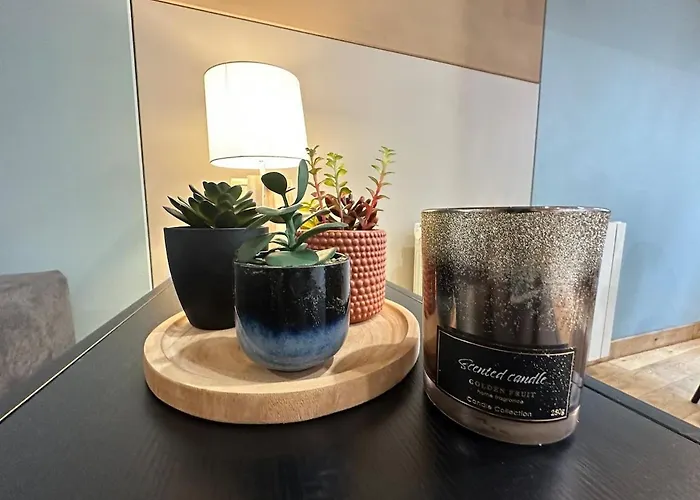 S Le Cocon Des Francs Elegant Centre Apartamento *