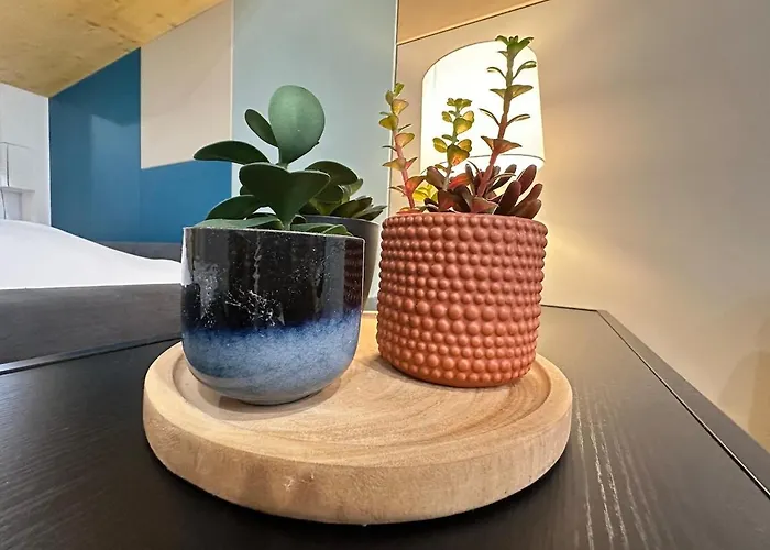 S Le Cocon Des Francs Elegant Centre Apartamento Sedan